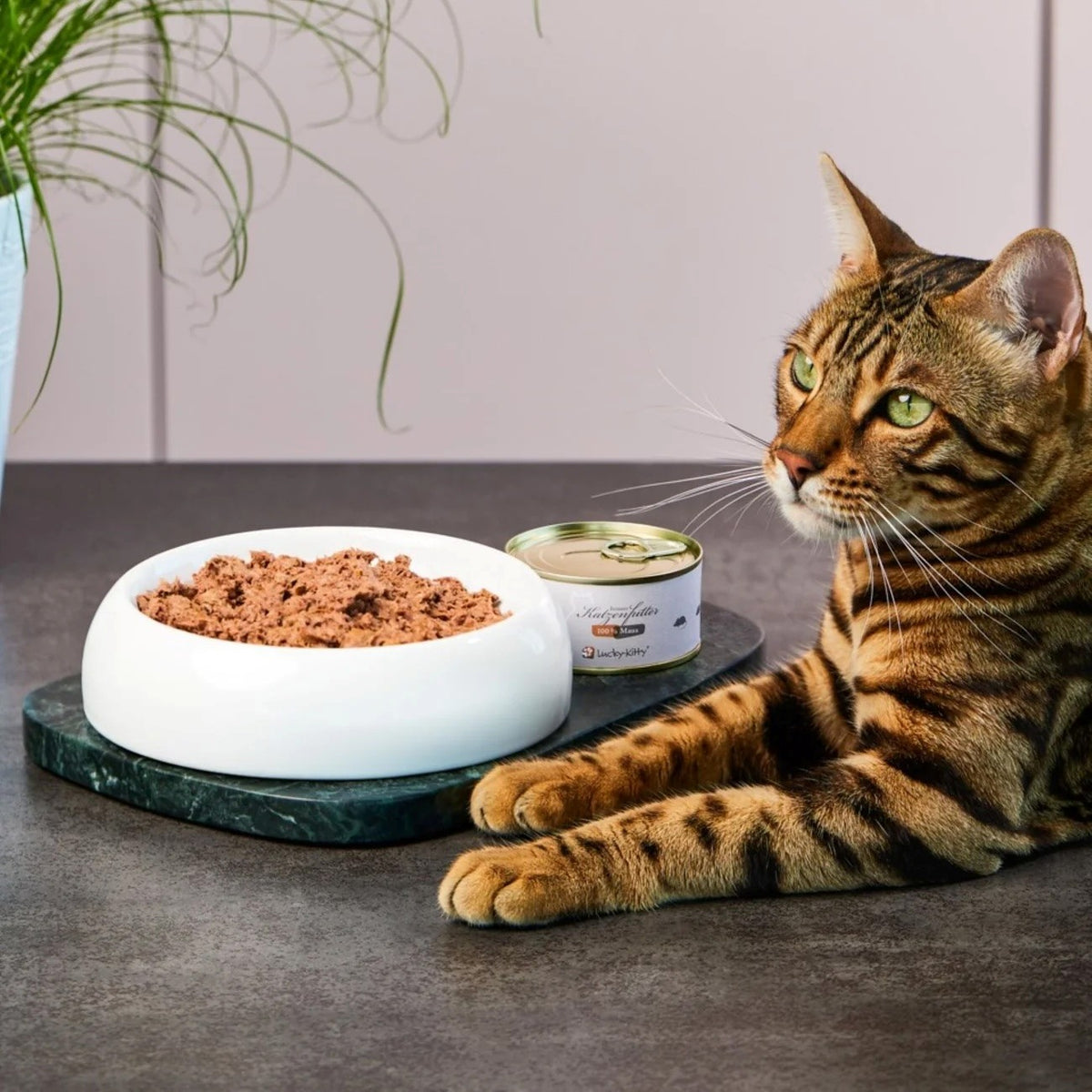 Lucky-Kitty Premium Nassfutter "Maus pur" (100g Dose)