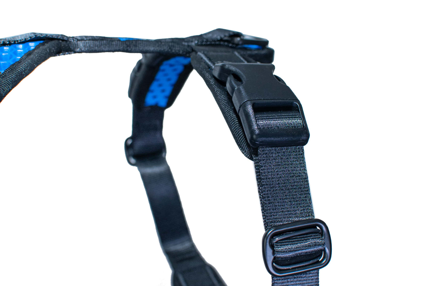 Tamer Geschirr Softy Blau/Schwarz