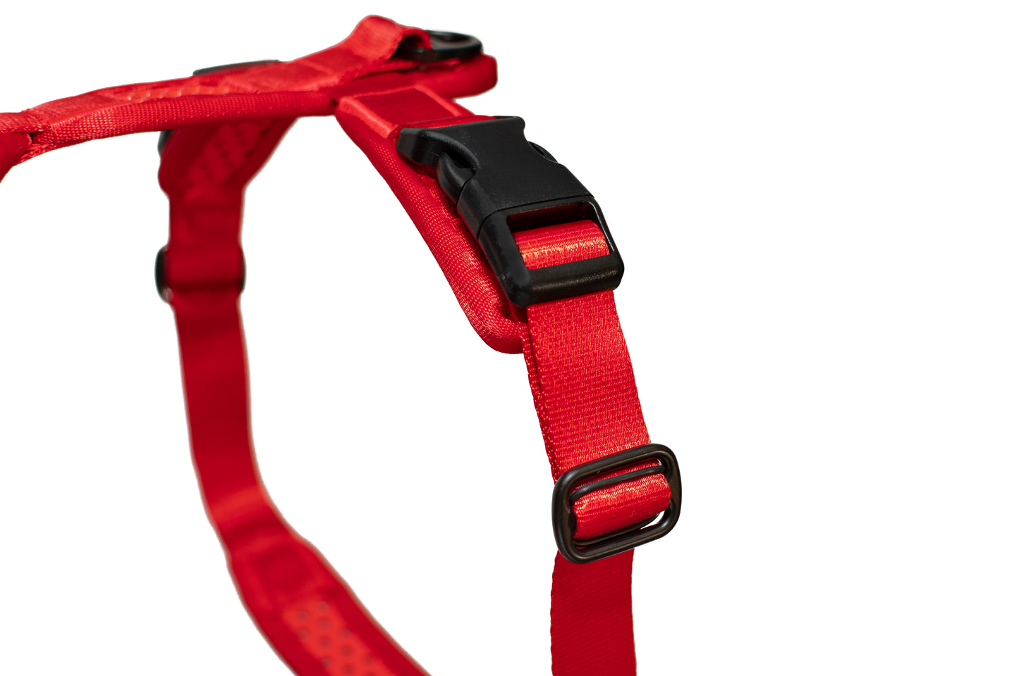 Tamer Geschirr Softy Rot