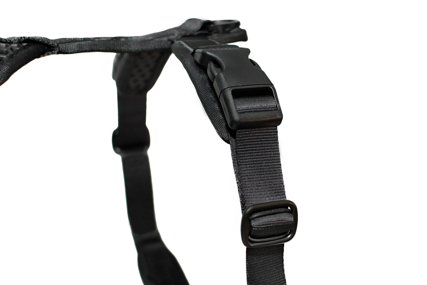 Tamer Geschirr Softy Schwarz