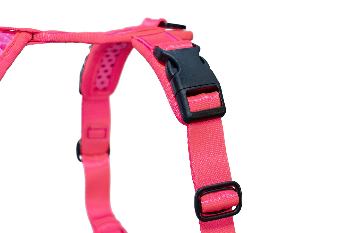 Tamer Geschirr Softy Pink