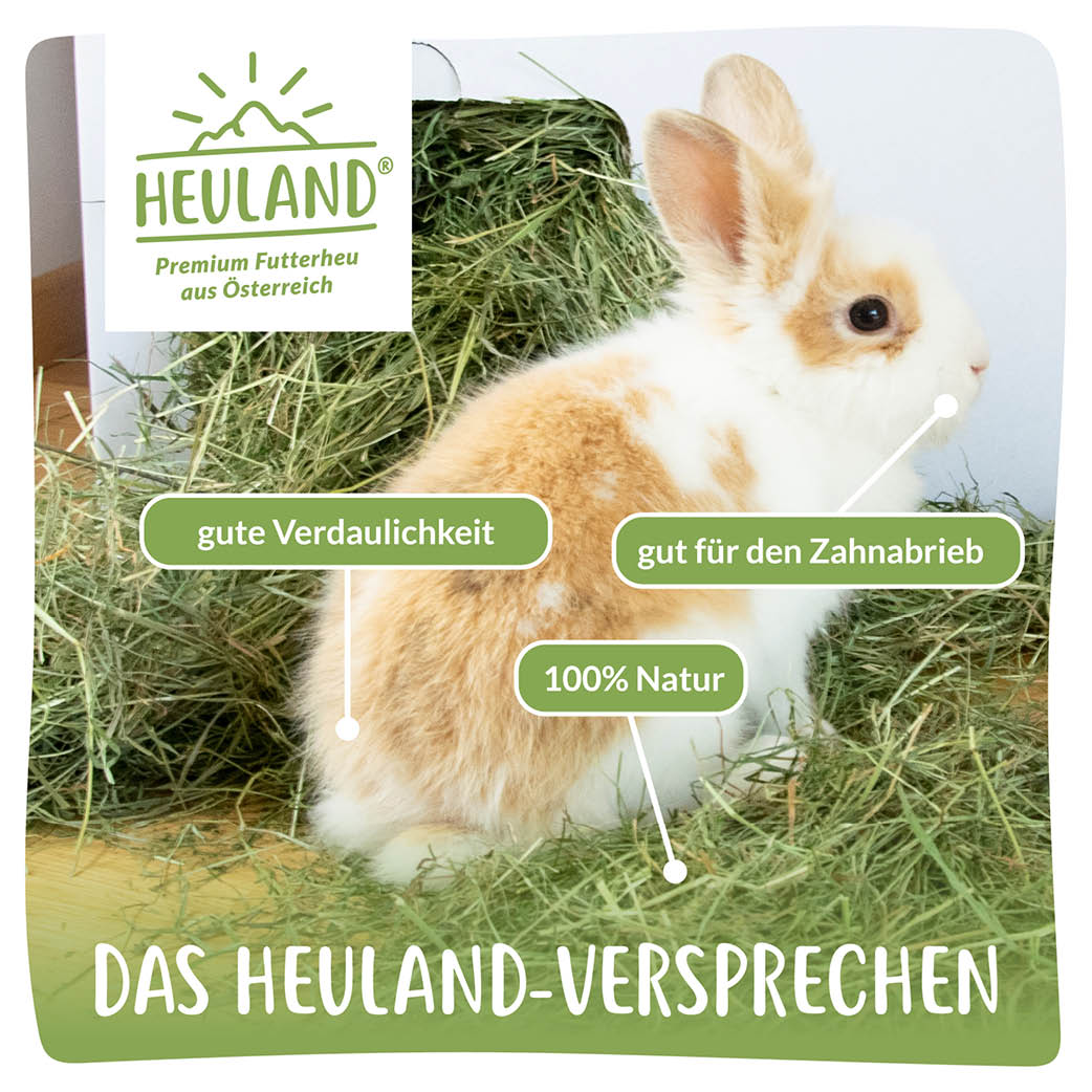 Heuland® Premium Plus Mountain Meadow Hay (ORGANIC)