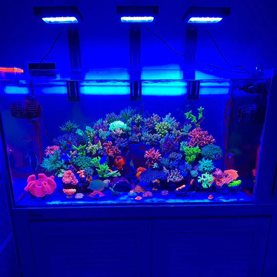 Chihiros Nova 1 (126 W) - DE Version