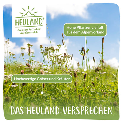 Heuland® Bergwiesenheu