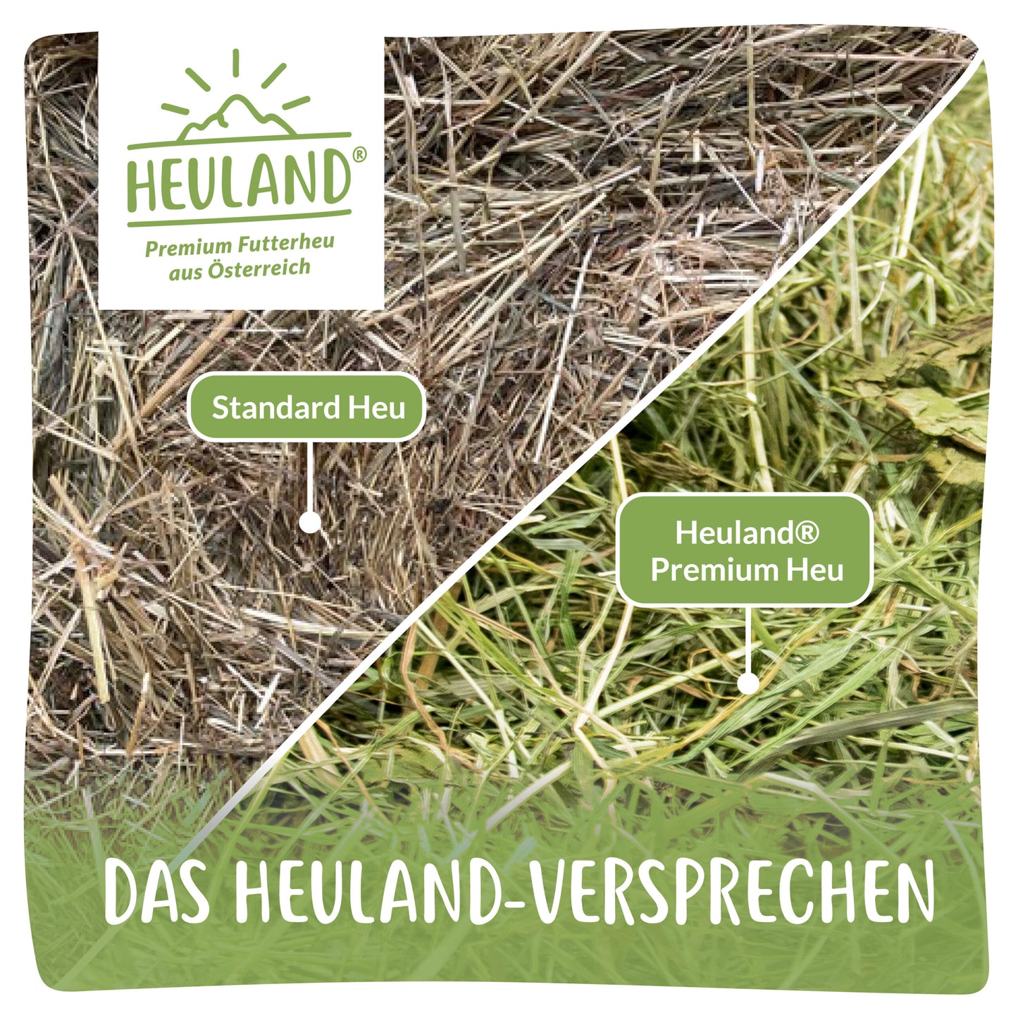 Heuland® Bergwiesenheu