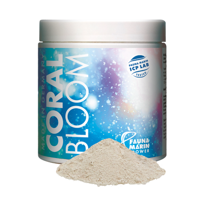 Fauna Marin Coral Bloom
