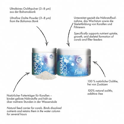 Fauna Marin Coral Bloom