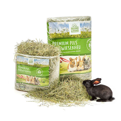 Heuland® Premium Plus Mountain Meadow Hay (ORGANIC)