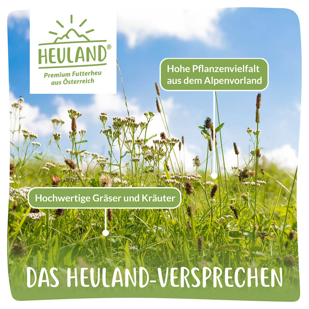 Heuland® Bleib ma gsund mit Kamille und Ringelblume