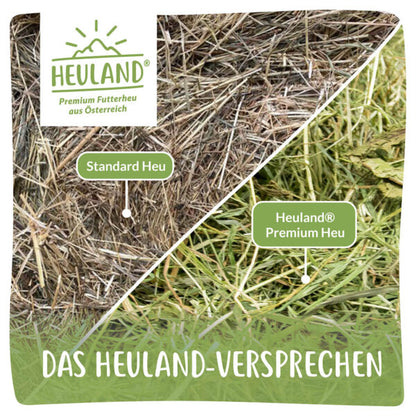 Heuland® Premium Plus Mountain Meadow Hay (ORGANIC)