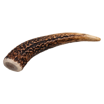 Fourlegs® Hirschgeweih Kauknochen Ganz