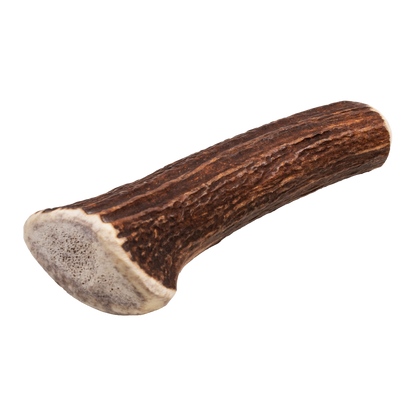 Fourlegs® Hirschgeweih Kauknochen Ganz