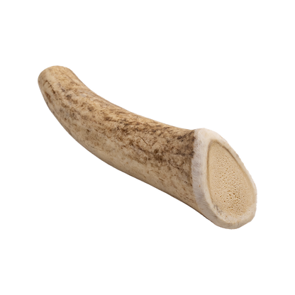 Fourlegs® Hirschgeweih Kauknochen Ganz