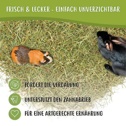 Heuland® Wiesenheu
