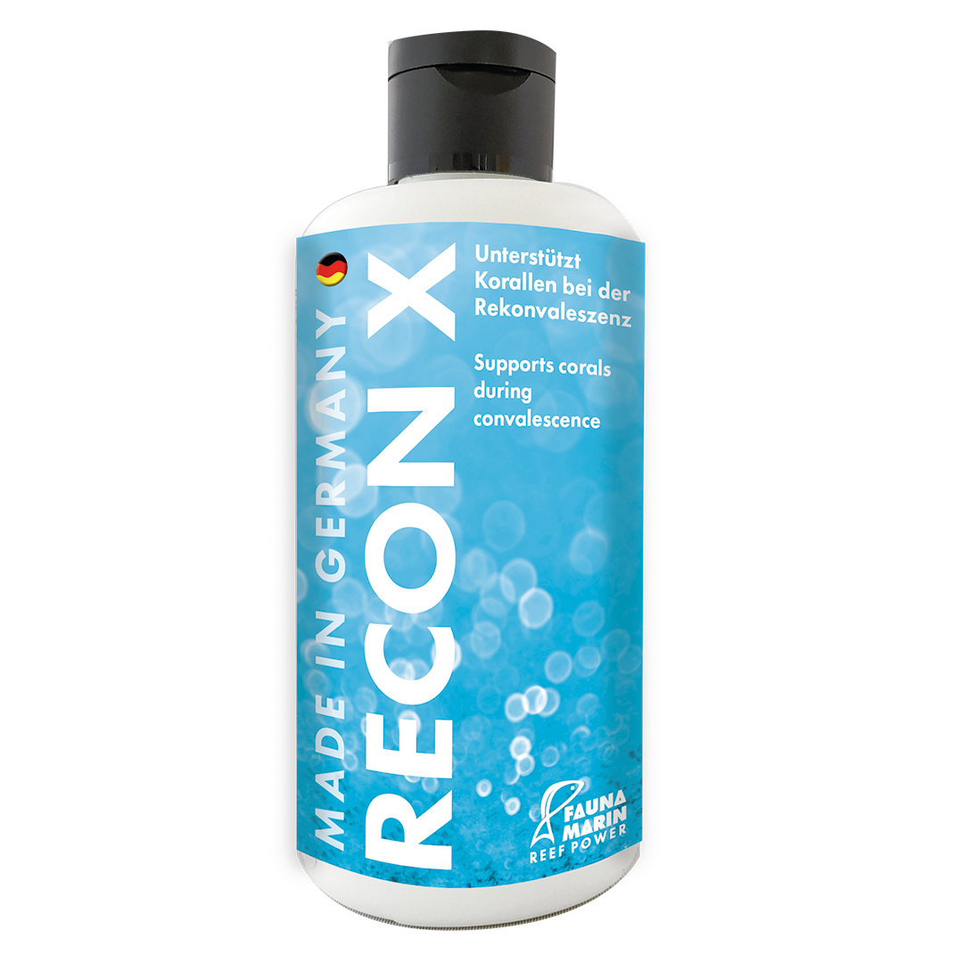 Fauna Marin RECON X