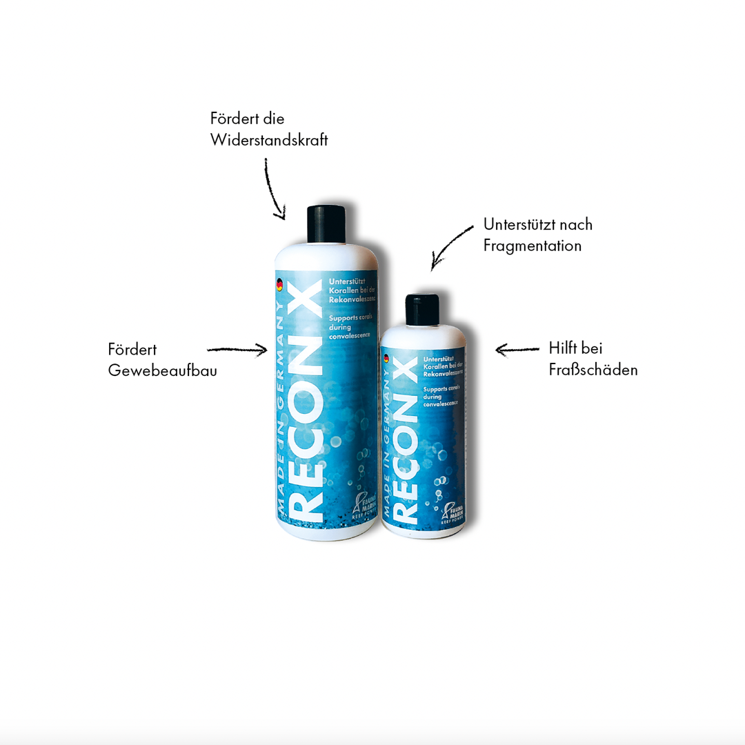 Fauna Marin RECON X
