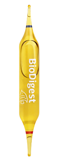 Prodibio BioDigest