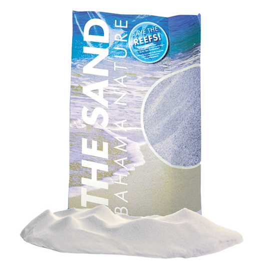 Fauna Marin The Sand - Bahama Nature