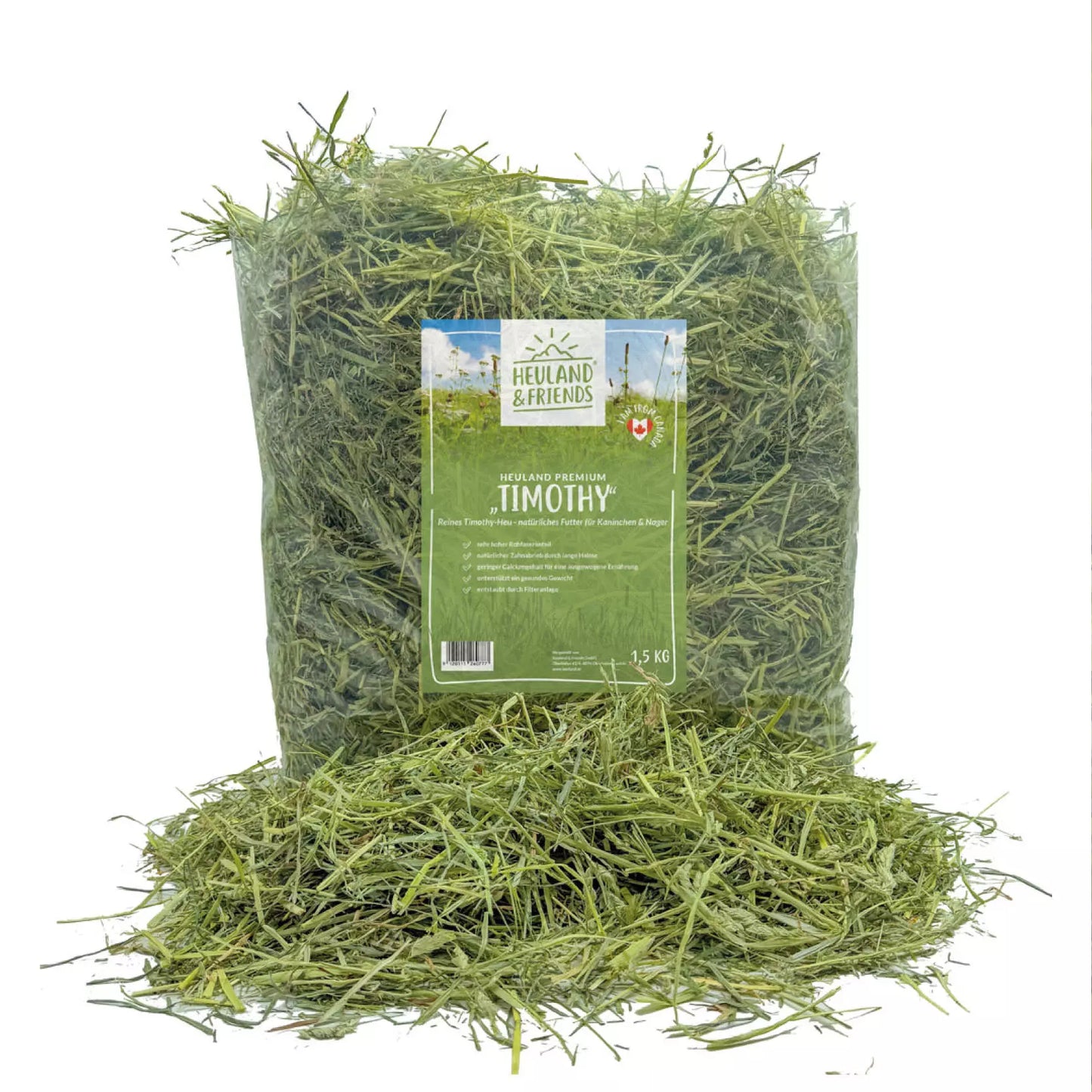 Heuland® Timothy (Canada)