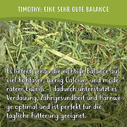 Heuland® Timothy (Canada)